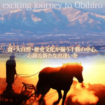 【北海道ツアー】帯広市 後から選べる旅行Webカタログで使える!旅行クーポン 6万円分