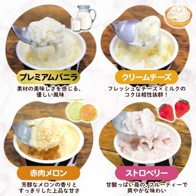十勝白い牧場アイス 全味食べ比べセット(4種×各3個)