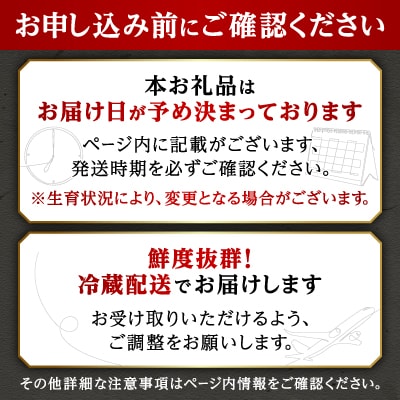 関東限定企画!北海道からチルド空輸 豊西牛 サーロインステーキ (180g×2P)【さとふる限定】
