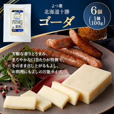 よつ葉 北海道十勝 ゴーダ 100g×6個