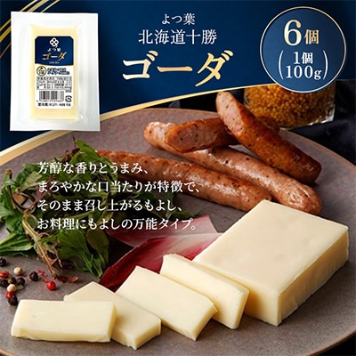 よつ葉 北海道十勝 ゴーダ 100g×6個