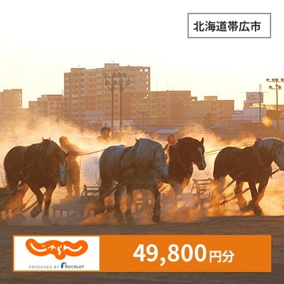 【じゃらんふるさと納税クーポン】 北海道帯広市でつかえる49,800円 クーポン