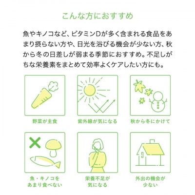 【Lypo-C】リポ カプセル ビタミンC+D(11包入)1箱