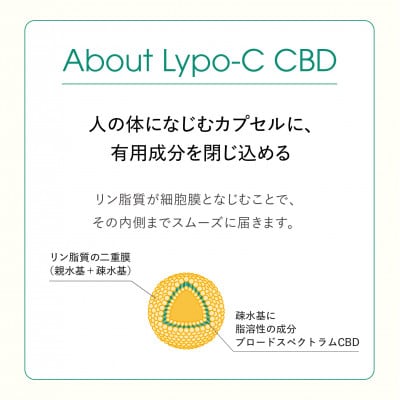【毎月定期便】【Lypo-C】リポ カプセル CBD(27包入) 1箱全12回