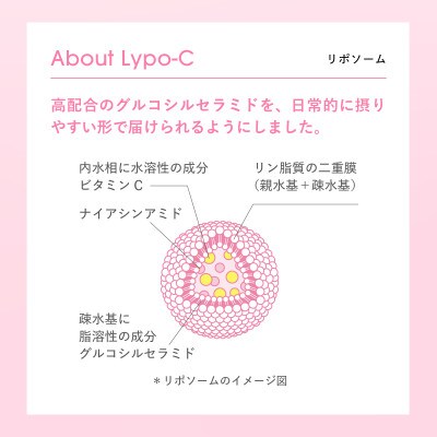 【毎月定期便】【Lypo-C】リポ・カプセル ビタミンC+Cera(28包入)1箱 全6回