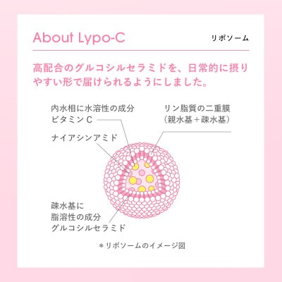 【毎月定期便】【Lypo-C】リポ・カプセル ビタミンC+Cera(28包入)1箱 全12回