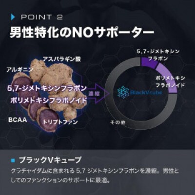 【ニトロキューブNOX】 NO系サプリ1袋・90粒|男性のための次世代サプリ|ナイトプロテイン