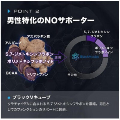 【ニトロキューブNOX】 NO系サプリ 4袋・360粒|男性のための次世代サプリ|ナイトプロテイン