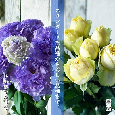 【発送月固定定期便】3ヵ月毎お花の定期便「YAMAGATA FLOWER 月山」全4回