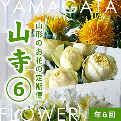【発送月固定定期便】隔月お花の定期便「YAMAGATA FLOWER 山寺」全6回