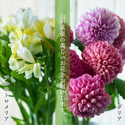【発送月固定定期便】隔月お花の定期便「YAMAGATA FLOWER 山寺」全6回