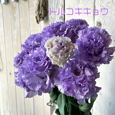2021年12月発送開始『定期便』毎月お花の定期便　YAMAGATA FLOWER花笠　全12回