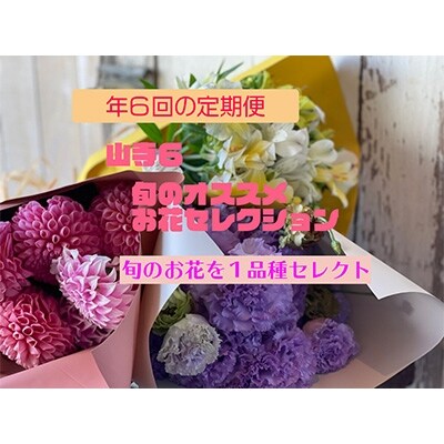2021年11月発送開始『定期便』隔月お花の定期便　YAMAGATA FLOWER山寺　全6回
