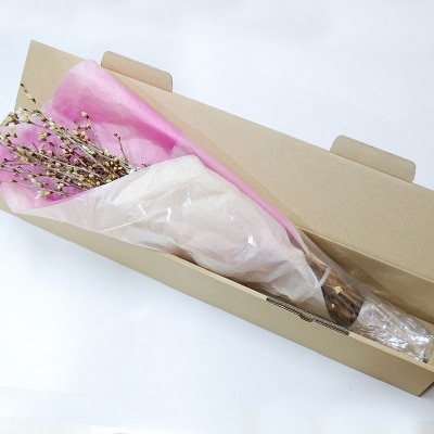 春を先取り!冬に咲く桜『啓翁桜』(年末お届けSサイズ)
