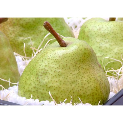 「山形県産　ラ・フランス」4Lサイズ14個入り