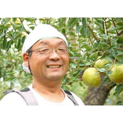「山形県産　ラ・フランス」3Lサイズ16個入り