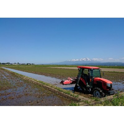 山形県庄内産 栽培期間中肥料・化学肥料不使用で栽培した ササニシキ精米10kg