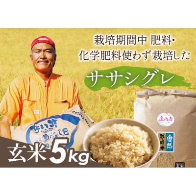 山形県庄内産 栽培期間中肥料・化学肥料不使用で栽培した ササシグレ玄米5kg