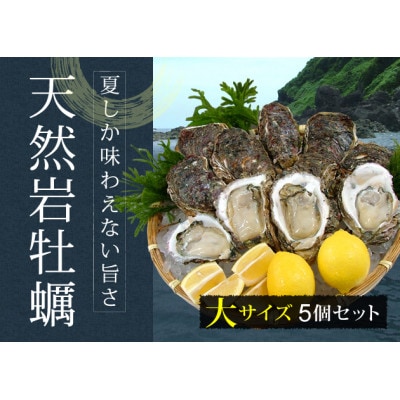 【令和7年先行受付】天然岩牡蠣 大サイズ5個(牡蠣剥き専用ナイフ付き)