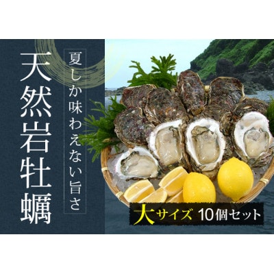 【令和7年先行受付】天然岩牡蠣 大サイズ10個(牡蠣剥き専用ナイフ付き)