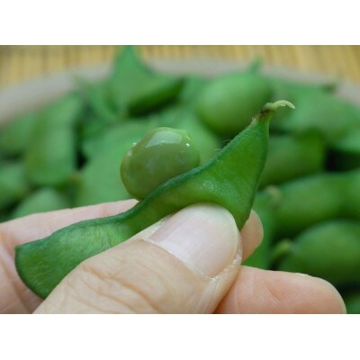 贈答用 山形県産だだちゃ豆(桐箱入り) 1.2kg