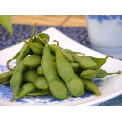 贈答用 山形県産だだちゃ豆(桐箱入り) 1.2kg
