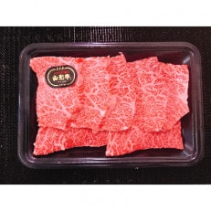 山形牛メス霜降りカルビ(250g)