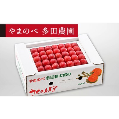 【先行受付(令和7年発送)】【佐藤錦】手詰 秀 約500g