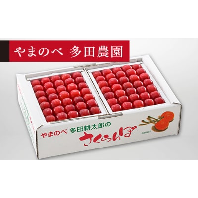 【先行受付(令和7年発送)】【佐藤錦】手詰 秀 約500g×2