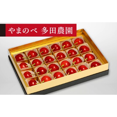 【先行受付(令和7年発送)】【珠玉佐藤錦】みやび箱 秀 24粒