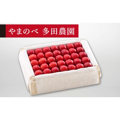 【先行受付(令和7年発送)】【特選佐藤錦】桐箱詰 秀 約500g