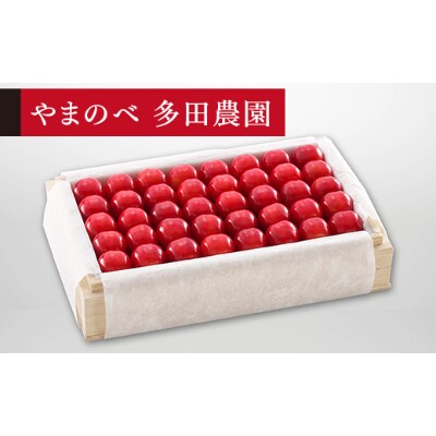 【先行受付(令和7年発送)】【特選佐藤錦】桐箱詰 秀 約700g