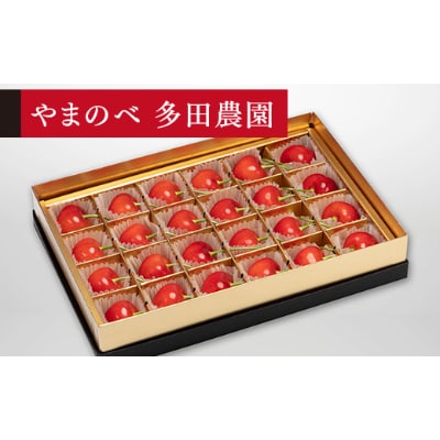 【先行受付(令和7年発送)】【珠玉紅秀峰】みやび箱 秀 24粒