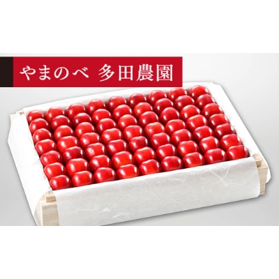 【先行受付(令和7年発送)】【特選紅秀峰】桐箱詰 秀 約1.1kg