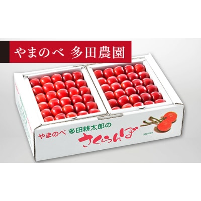 【先行受付(令和7年発送)】【真夏のルビー紅姫】手詰 秀 約500g×2