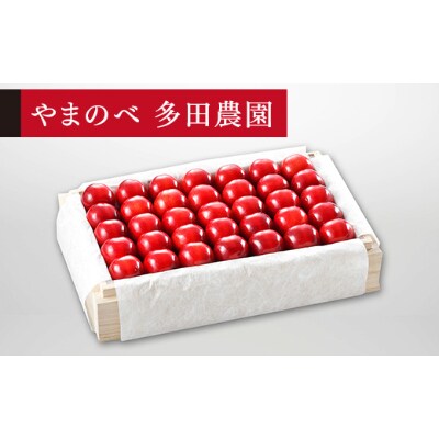 【先行受付(令和7年発送)】【特選「真夏のルビー紅姫」】桐箱詰 秀 約700g