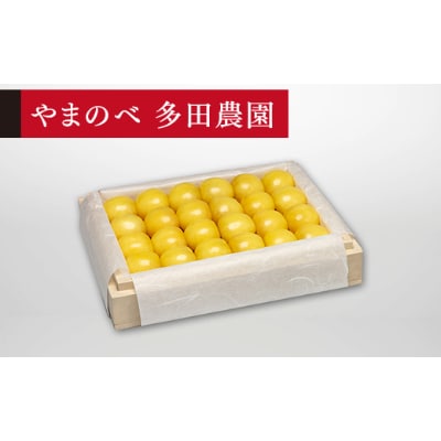 【先行受付(令和7年発送)】【特選月山錦】桐箱詰 秀 約300g