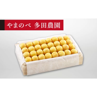 【先行受付(令和7年発送)】【特選月山錦】桐箱詰 秀 約700g