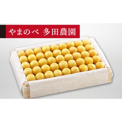【先行受付(令和7年発送)】【特選月山錦】桐箱詰 秀 約1.1kg