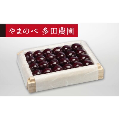 【先行受付(令和7年発送)】【特選サミット】桐箱詰 秀 約300g