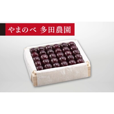 【先行受付(令和7年発送)】【特選サミット】桐箱詰 秀 約500g