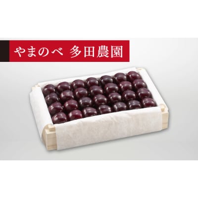 【先行受付(令和7年発送)】【特選サミット】桐箱詰 秀 約700g
