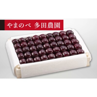 【先行受付(令和7年発送)】【特選サミット】桐箱詰 秀 約1.1kg