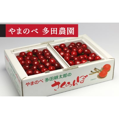 【先行受付(令和7年発送)】【山形美人】バラ詰 秀 500g×2