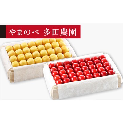 【先行受付(令和7年発送)】【月山錦・紅秀峰】特選桐箱詰 秀 各700g