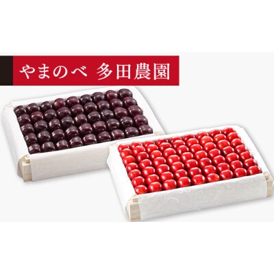 【先行受付(令和7年発送)】【紅姫・サミット】特選桐箱詰 秀 各1.1kg