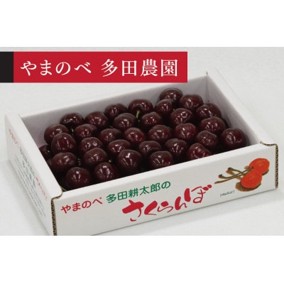 バラ売り大歓迎！1枚490円！ 先行受付(令和8年発送)】【サミット】バラ詰 秀 700g | 山形県
