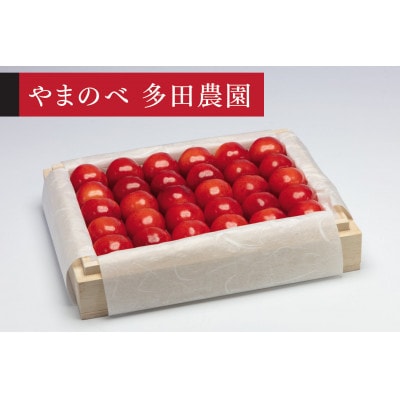 【先行受付(令和8年発送)】【特選やまがた紅王】桐箱詰 秀 300g