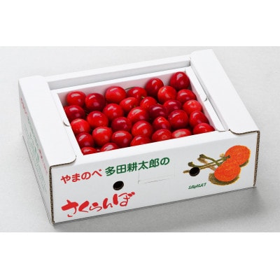 �y��s��t(�ߘa8�N����)�z�y�R�`���l�z�o���l �G L�`2L�T�C�Y 500g