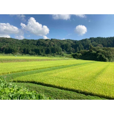 【2023年先行受付】山形育ちのご馳走米☆特別栽培米つや姫と雪若丸のセット